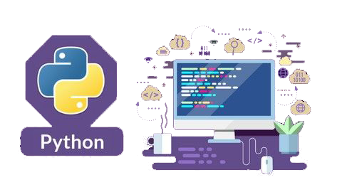 Python development in nagercoil